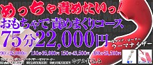 企画コース～おもちゃで責めまくりコース～