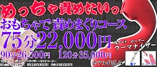 おもちゃで責めまくりコース